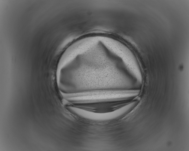 X0000094231355200711241735