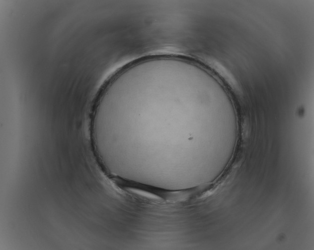 X0000094231356200711241735