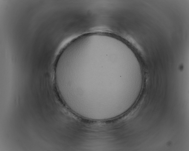 X0000094231358200711241735