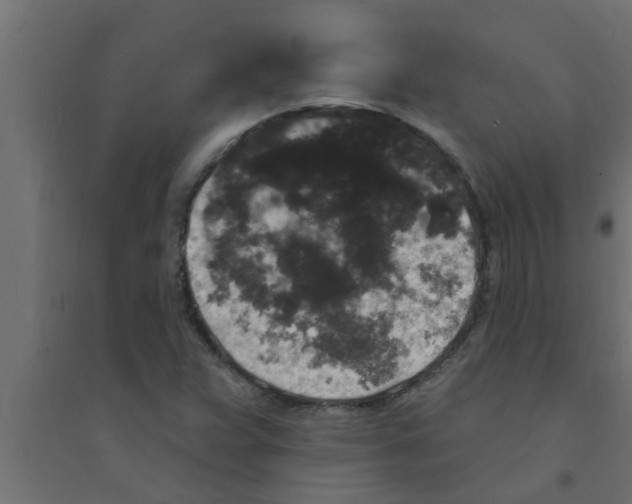X0000094231359200711241735