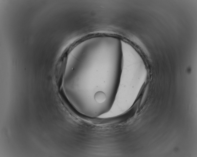 X0000094231360200711241735