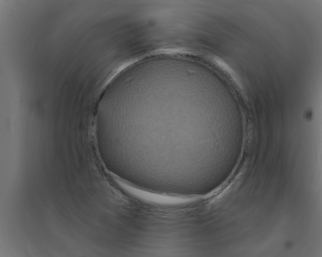 X0000094231361200711241735