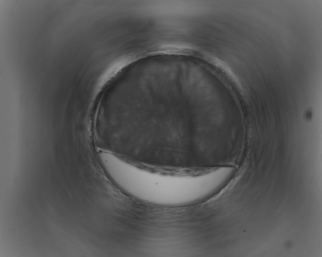 X0000094231362200711241735