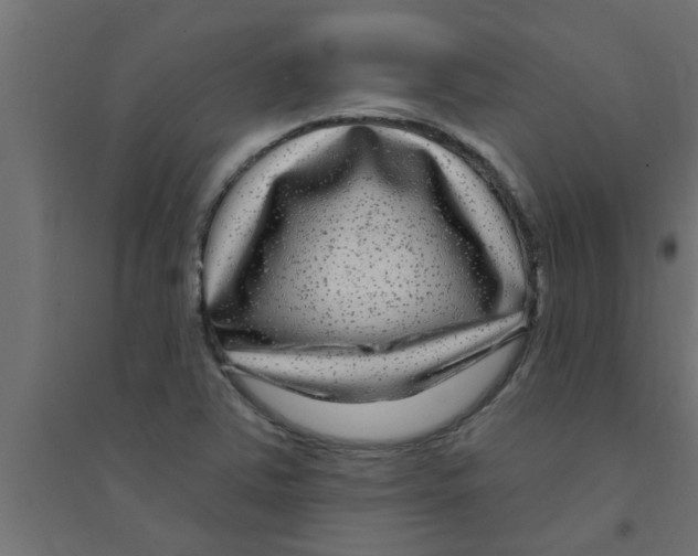 X0000094231363200711241735