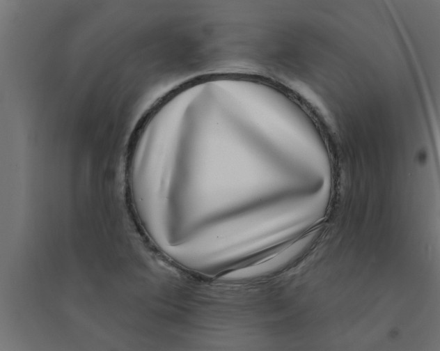 X0000094231364200711241735