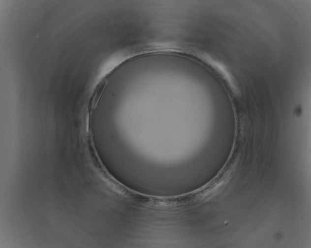 X0000094231365200711241735