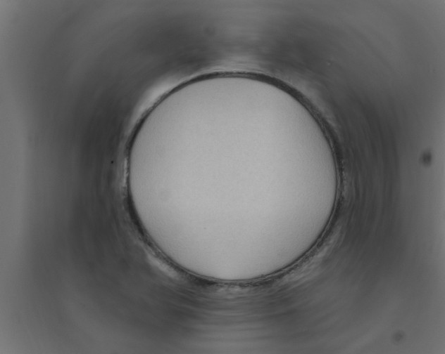 X0000094231366200711241735
