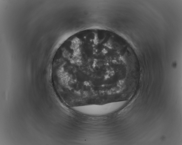 X0000094231367200711241735