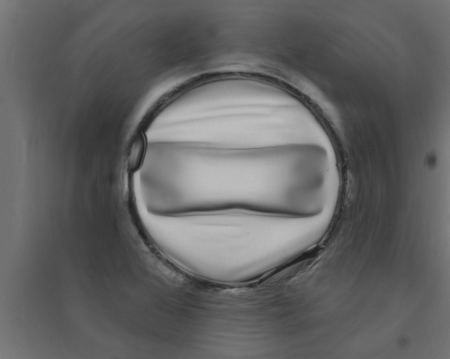 X0000094231368200711241735