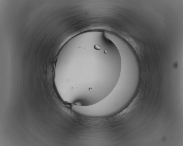 X0000094231369200711241735