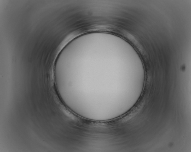 X0000094231370200711241735