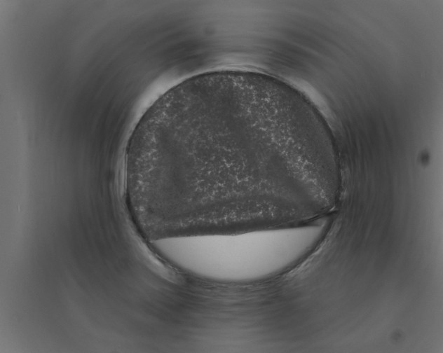 X0000094231371200711241735