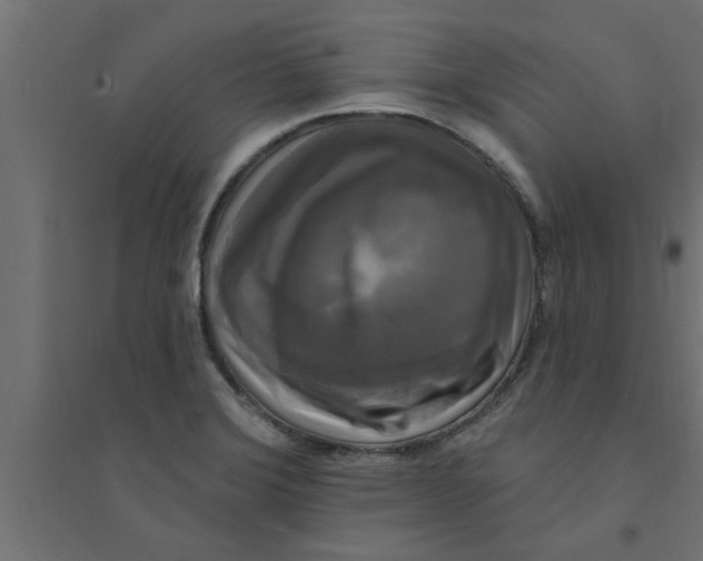 X0000094231372200711241735