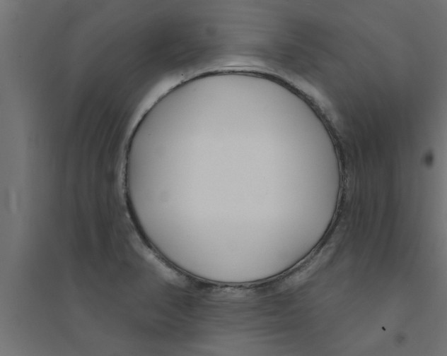 X0000094231374200711241735