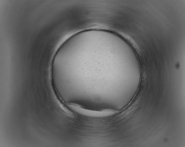 X0000094231375200711241735