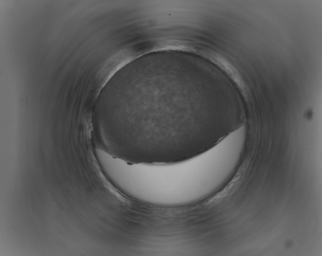 X0000094231377200711241735
