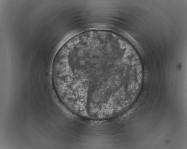 X0000094231378200711241735