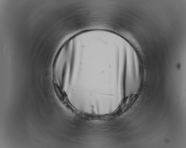 X0000094231380200711241735