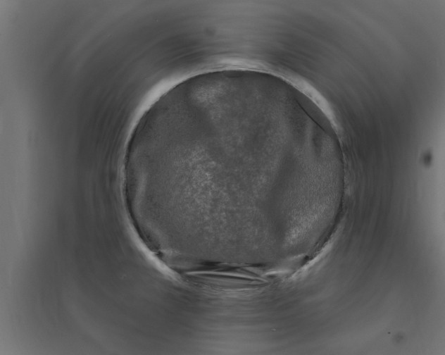 X0000094231381200711241735