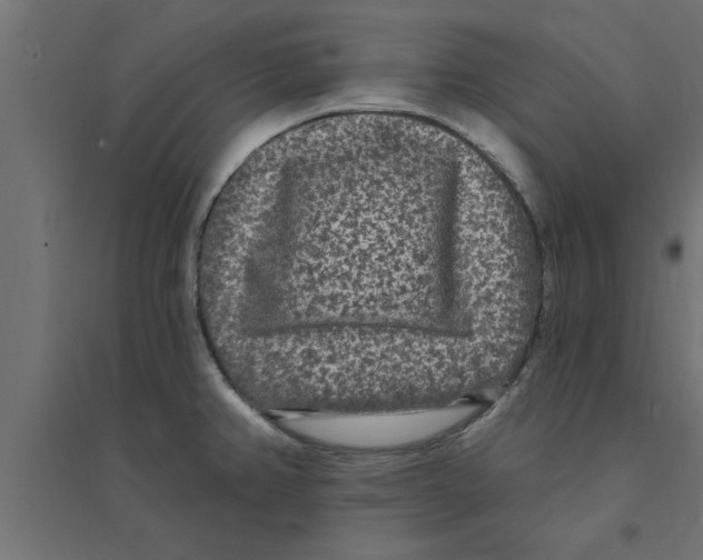 X0000094231382200711241735