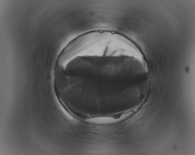 X0000094231383200711241735