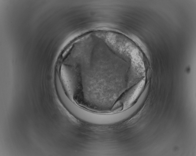 X0000094231384200711241735