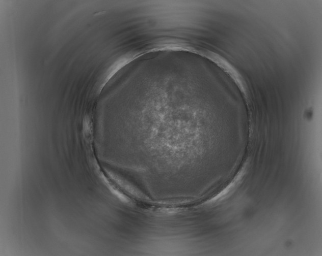 X0000094231385200711241735