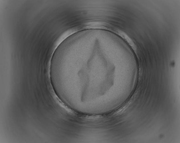 X0000094231386200711241735