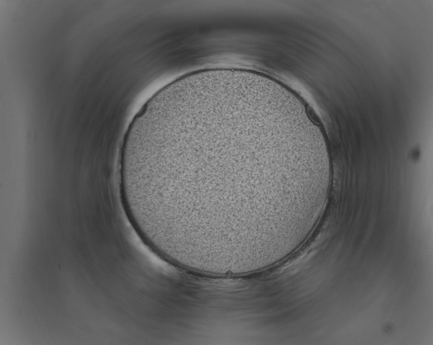 X0000094231387200711241735