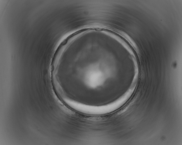 X0000094231388200711241735