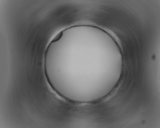 X0000094231390200711241735