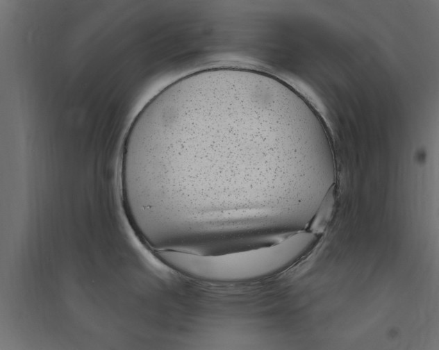 X0000094231391200711241735