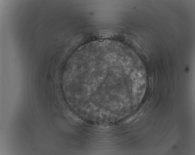 X0000094231393200711241734