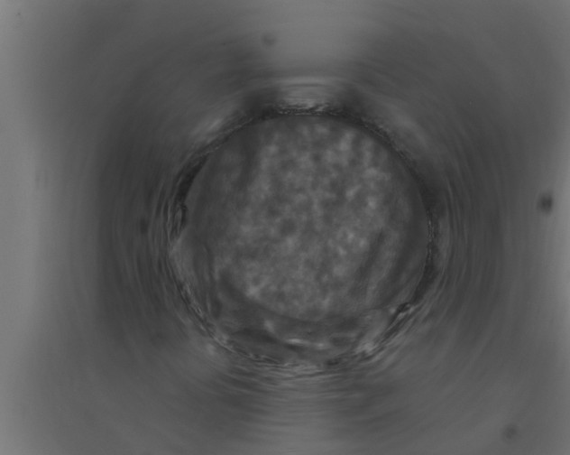 X0000094231394200711241734
