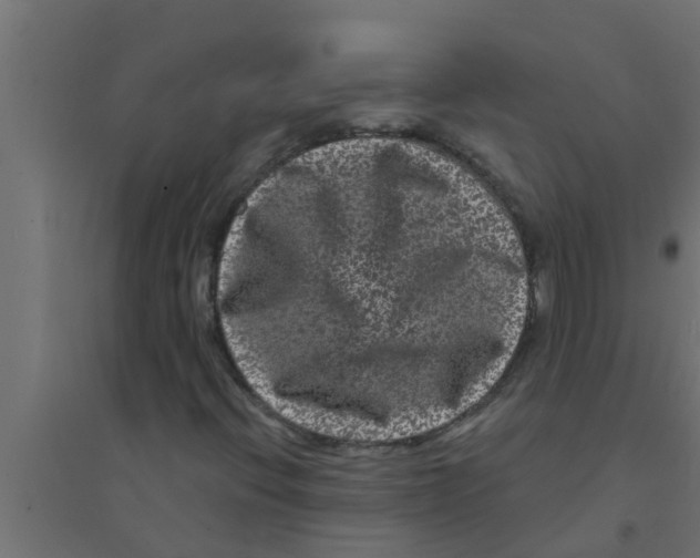 X0000094231396200711241734