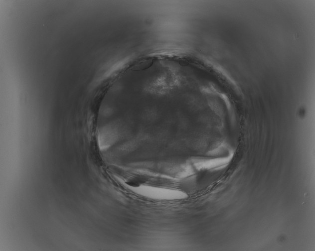 X0000094231399200711241734