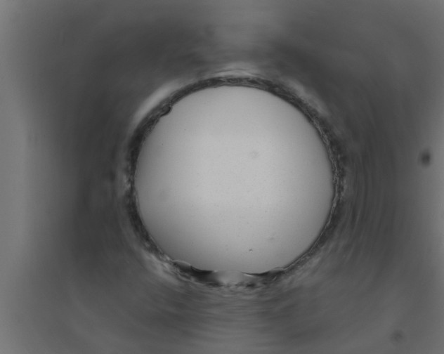 X0000094231400200711241734