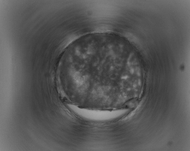 X0000094231401200711241734