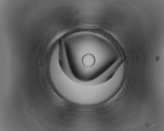 X0000094231402200711241734