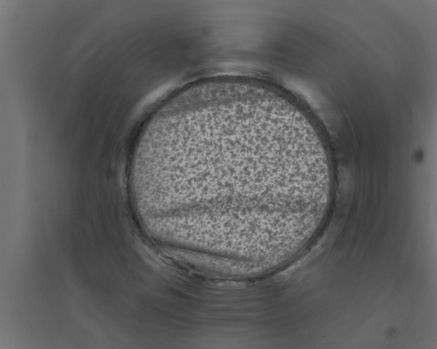 X0000094231403200711241734