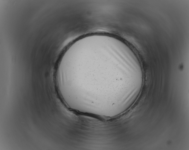 X0000094231404200711241734