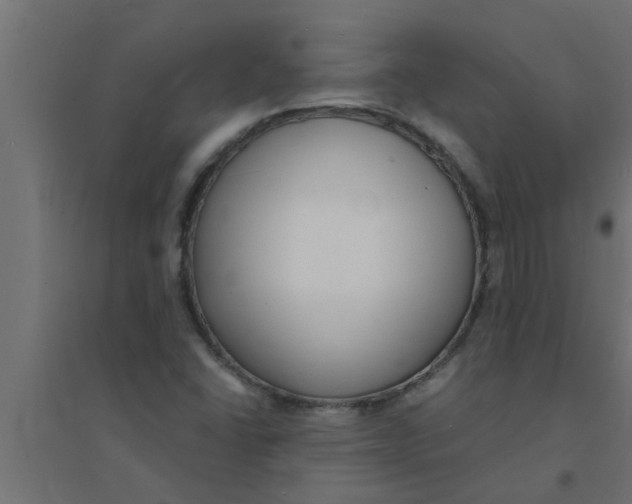 X0000094231406200711241734