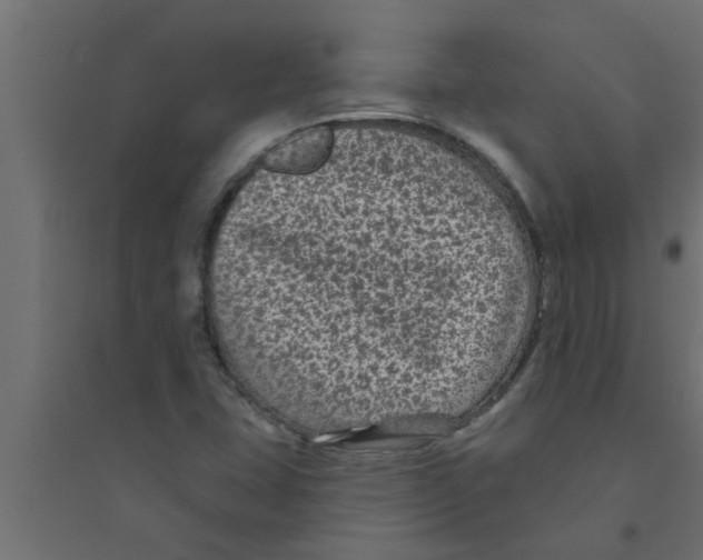 X0000094231407200711241734