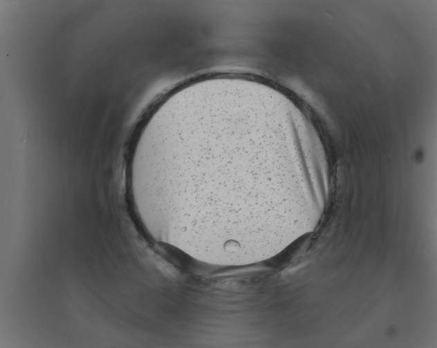 X0000094231408200711241734
