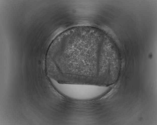 X0000094231409200711241734