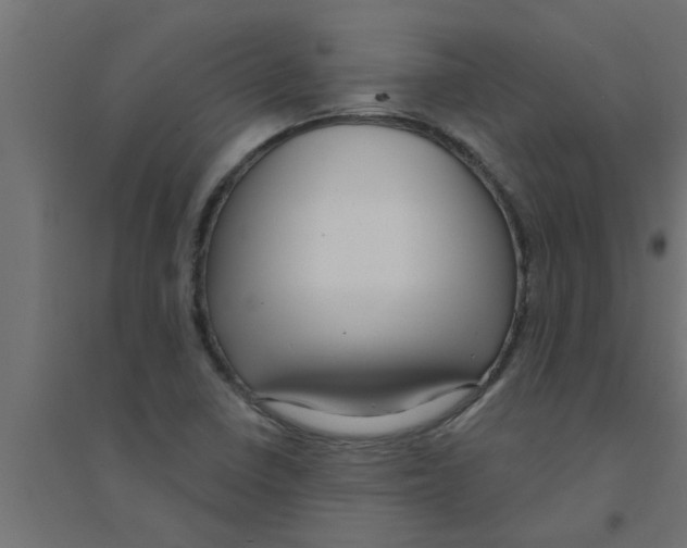 X0000094231410200711241734
