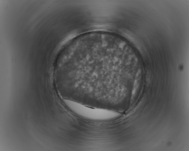 X0000094231411200711241734