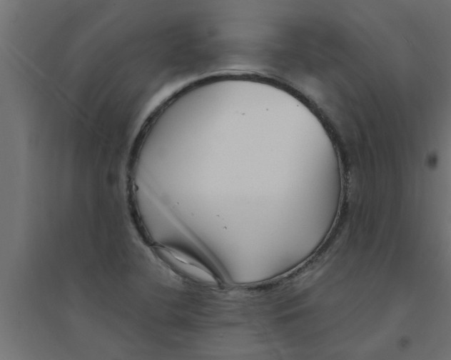 X0000094231412200711241734