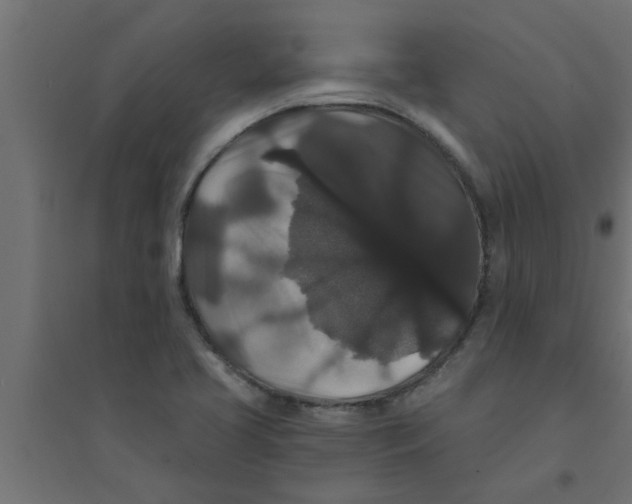 X0000094231413200711241734