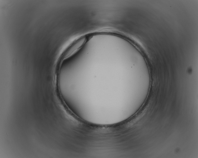 X0000094231414200711241734